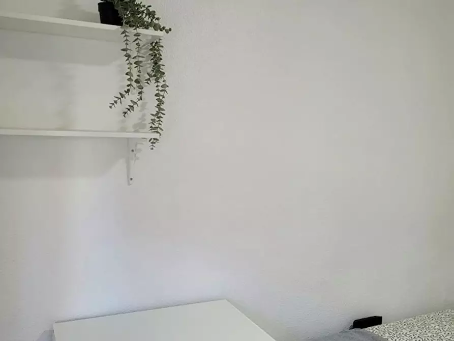 Immagine 7 di Camera in affitto  in Calle Federico Maicas a El Realon
