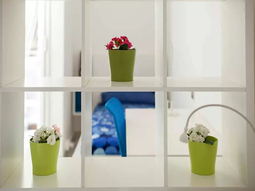 Immagine 10 di Camera in affitto  in Via Giovanni Amendola a Bologna