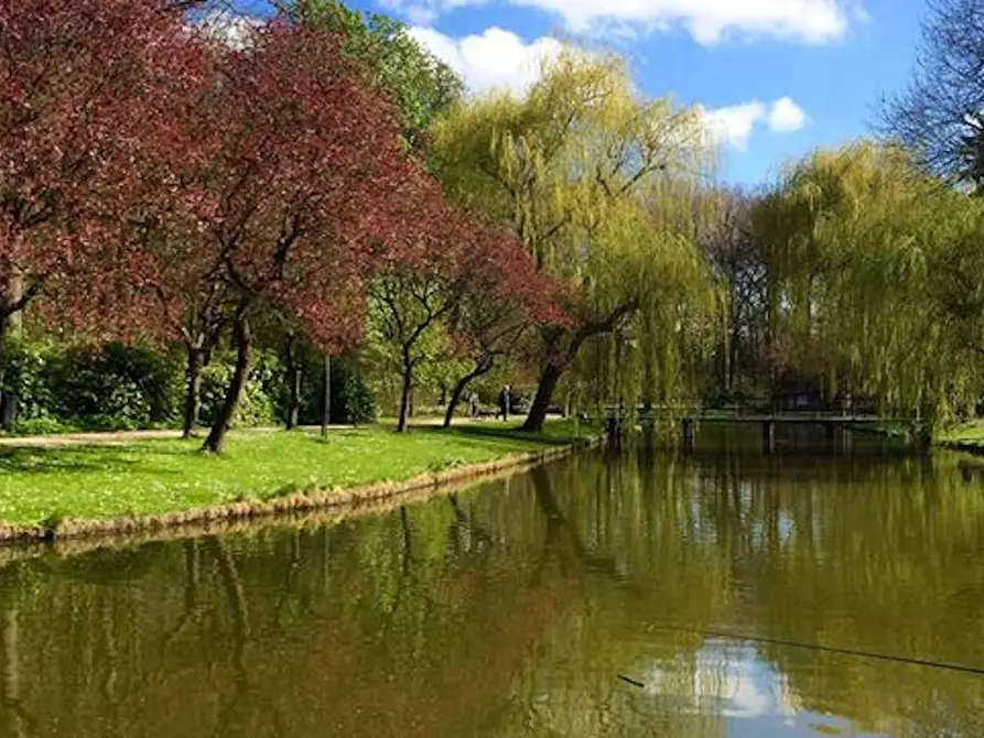 Immagine 8 di Appartamento in affitto  in Hombeeksesteenweg a Walem