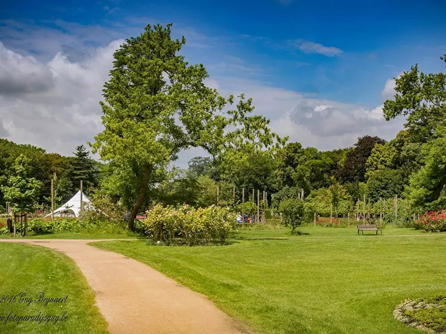 Immagine 7 di Appartamento in affitto  in Hombeeksesteenweg a Walem