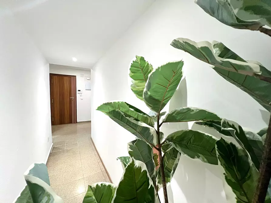 Immagine 7 di Camera in affitto  in Avinguda del Primat Reig a Valencia