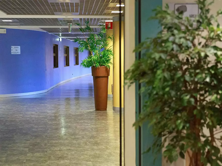 Immagine 10 di Appartamento in affitto  in Via dei Pini a Pieve Emanuele