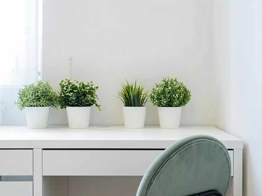 Immagine 2 di Camera in affitto  in Via dello Statuto a Firenze