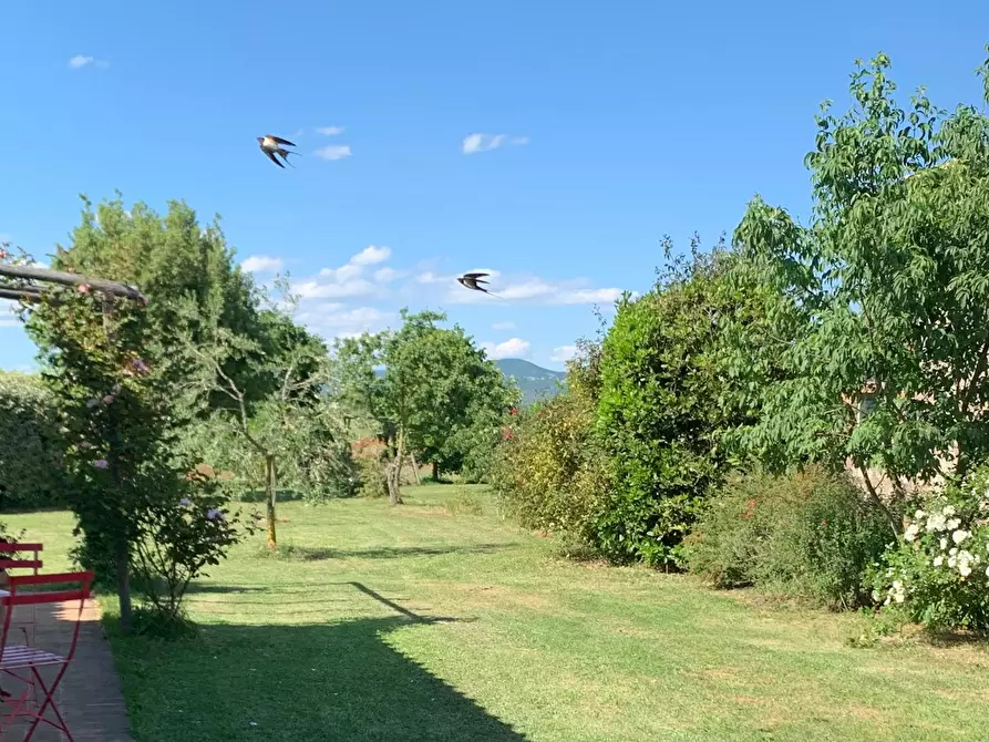 Immagine 1 di Appartamento in affitto  in Località Botto a Orvieto