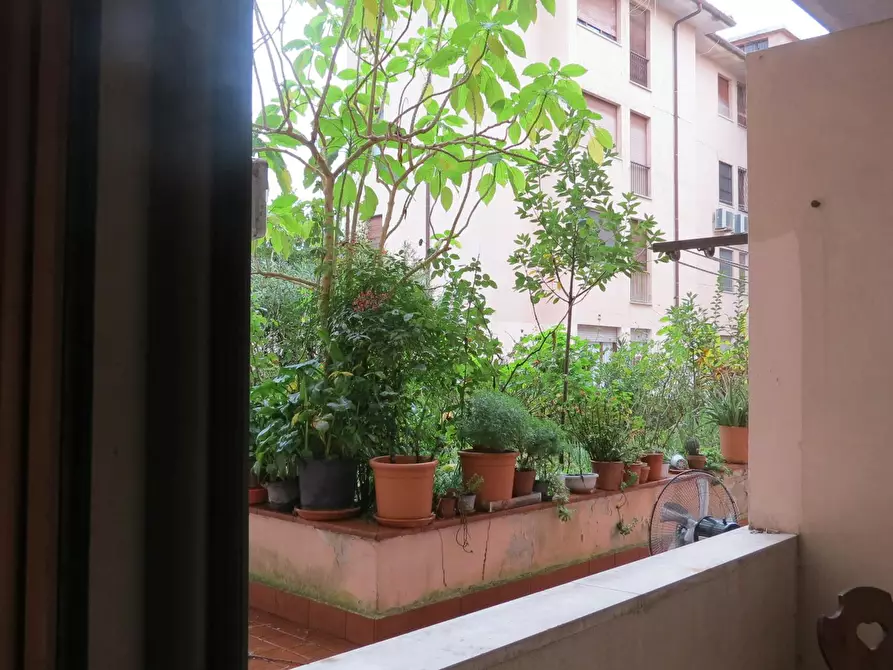 Immagine 4 di Camera in affitto  in Via San Giuseppe Benedetto Cottolengo a Pisa