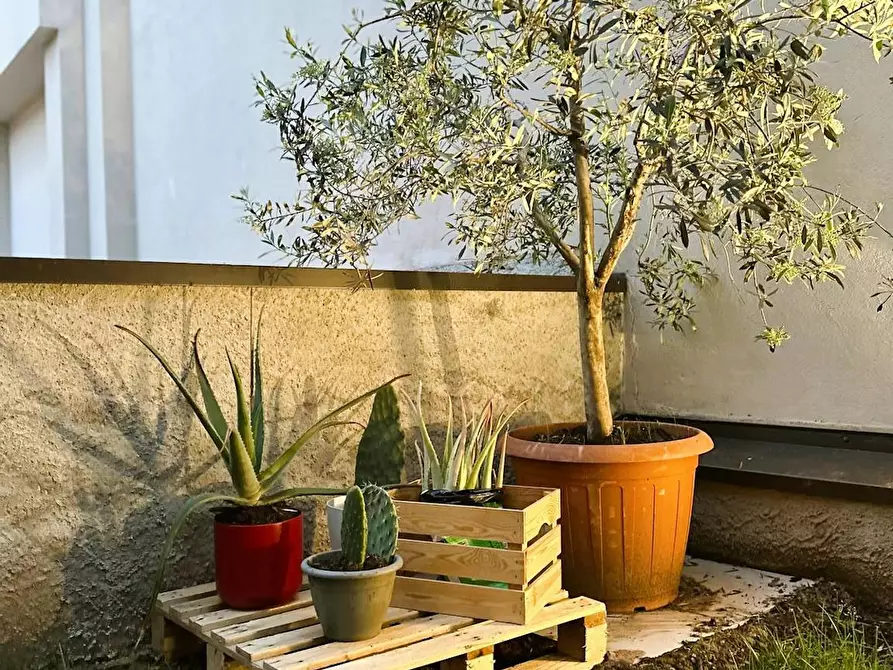 Immagine 4 di Appartamento in affitto  in Via Ignazio Ciaia a Milano