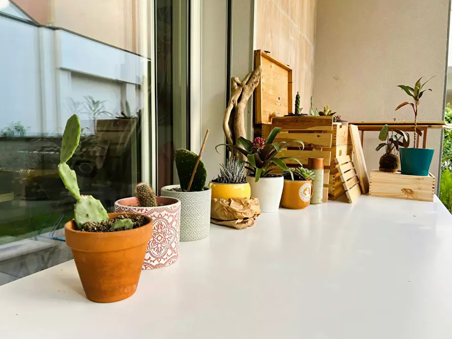 Immagine 8 di Appartamento in affitto  in Via Ignazio Ciaia a Milano