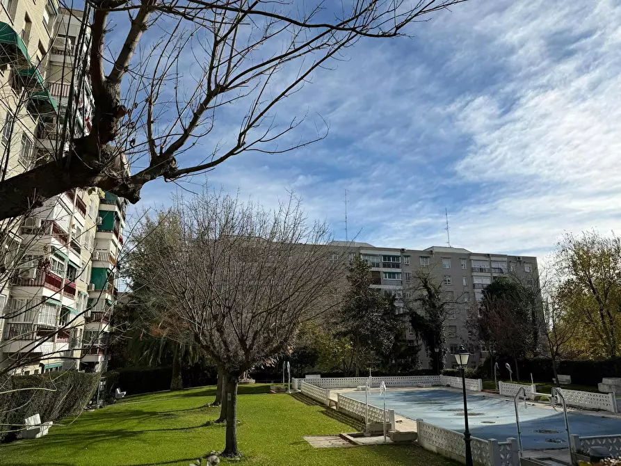 Immagine 5 di Camera in affitto  in Calle de la Codorniz a Madrid