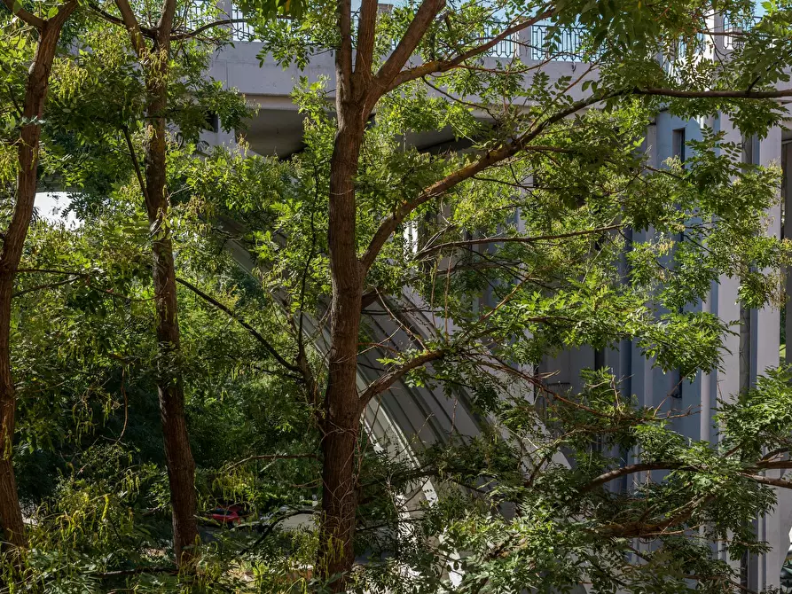 Immagine 6 di Camera in affitto  in Calle de Segovia a Madrid