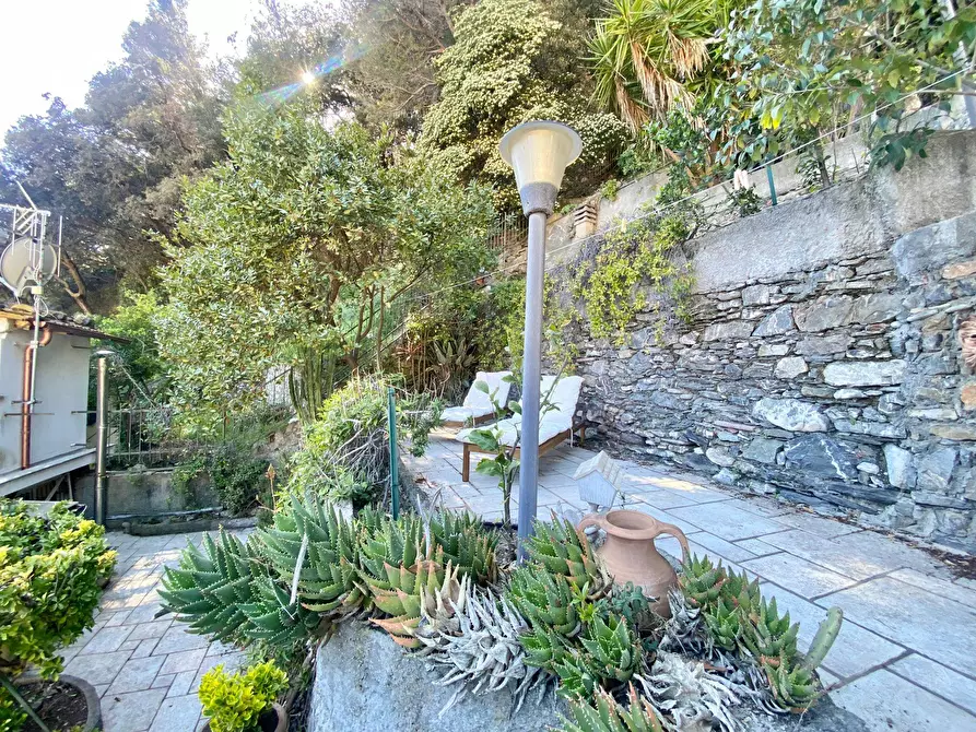 Immagine 9 di Appartamento in affitto  in Via Venino a Avegno