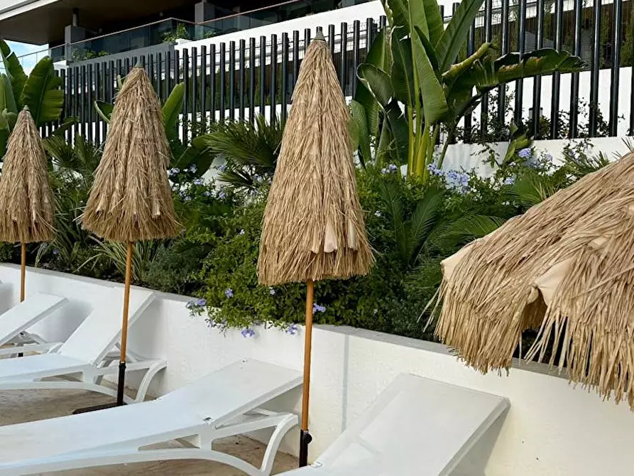 Immagine 6 di Appartamento in affitto  in Avenida Reverendo Francisco Sarrio Paya a Torrevieja