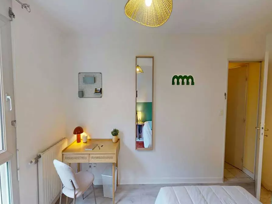 Immagine 5 di Camera in affitto  in Rue Professeur Florence a Lyon 03