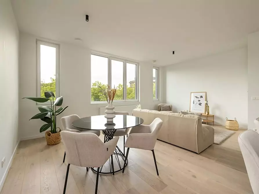 Immagine 3 di Appartamento in affitto  in Grotesteenweg a Berchem