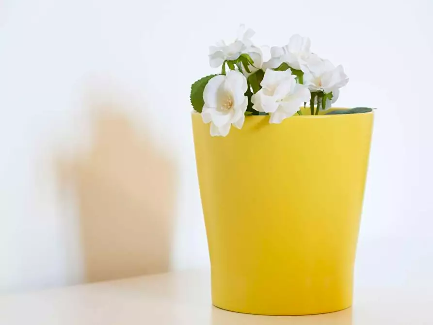 Immagine 8 di Camera in affitto  in Viale Giovanni da Cermenate a Milano