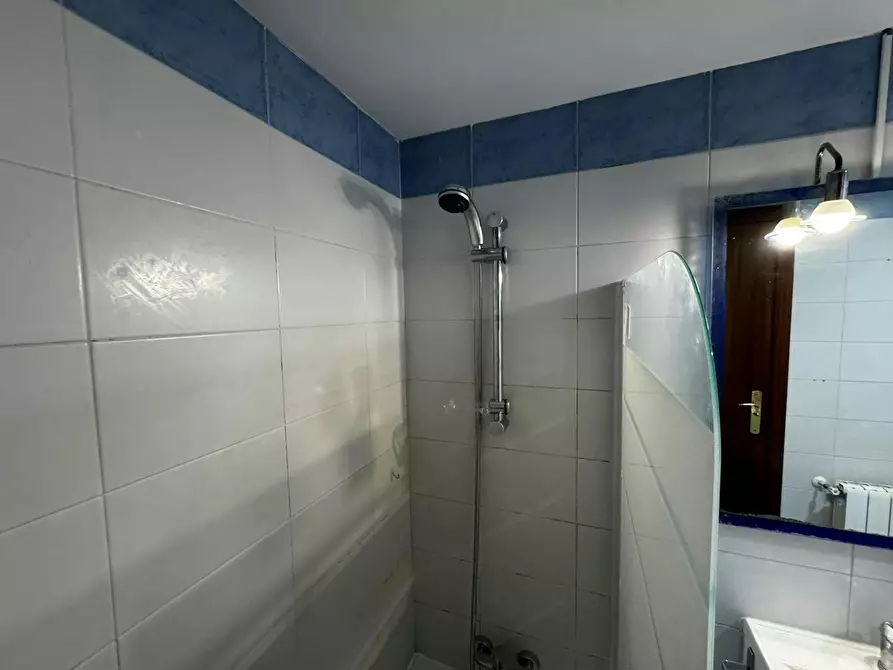 Immagine 6 di Camera in affitto  in Calle de Isabel Clara Eugenia a Madrid