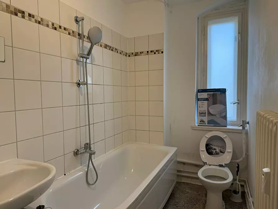 Immagine 9 di Appartamento in affitto  in Riemenschneiderweg a Berlin