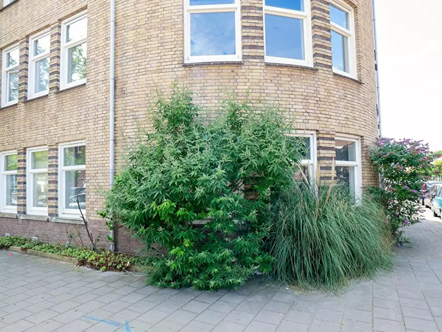 Immagine 7 di Camera in affitto  in Rederijkerstraat a 's-Gravenhage