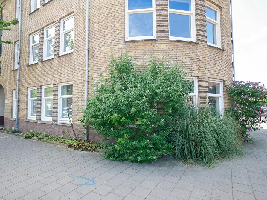 Immagine 5 di Camera in affitto  in Rederijkerstraat a 's-Gravenhage