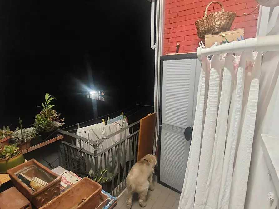 Immagine 7 di Appartamento in affitto  in Via Pasquale Galluppi a Torino