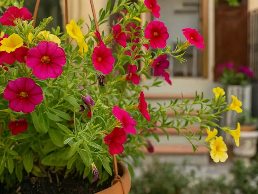 Immagine 7 di Appartamento in affitto  in Via Bartolommeo Scala a Firenze