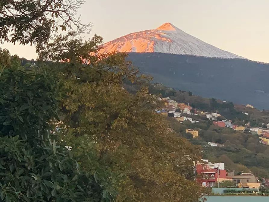 Immagine 1 di Camera in affitto  in Carretera General del Norte a La Orotava
