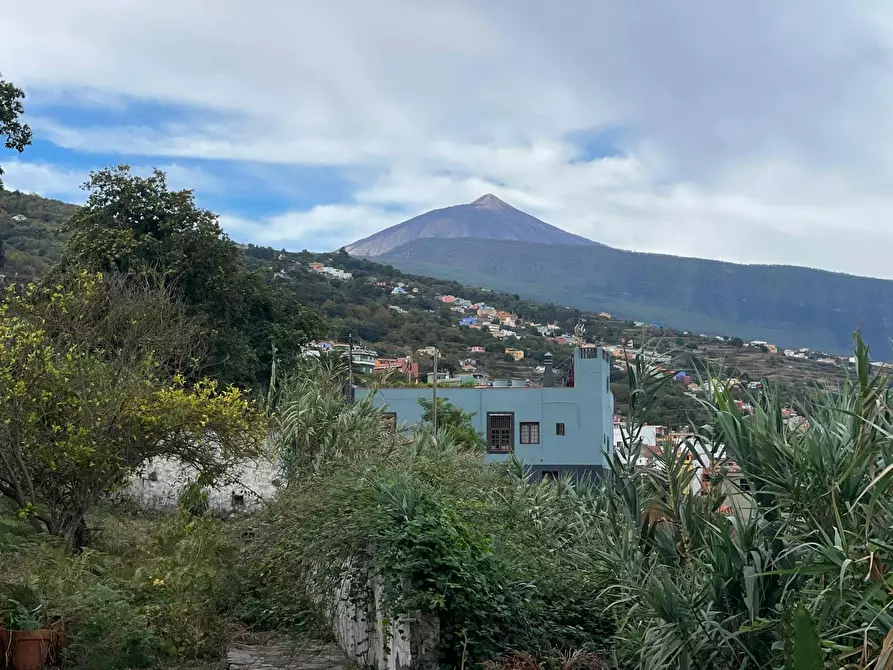 Immagine 3 di Camera in affitto  in Carretera General del Norte a La Orotava