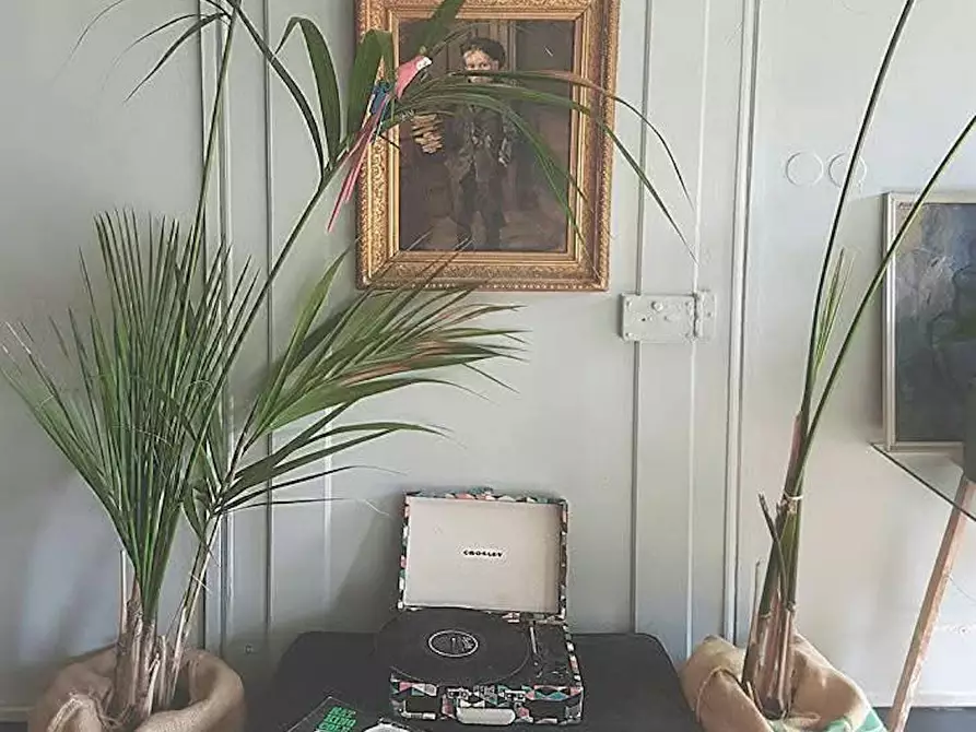 Immagine 5 di Appartamento in affitto  in Via Santo Spirito a Firenze