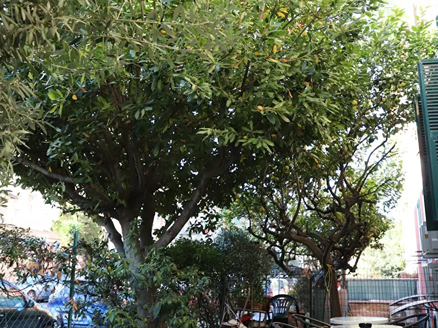 Immagine 6 di Appartamento in affitto  in Via dei Glicini a Roma