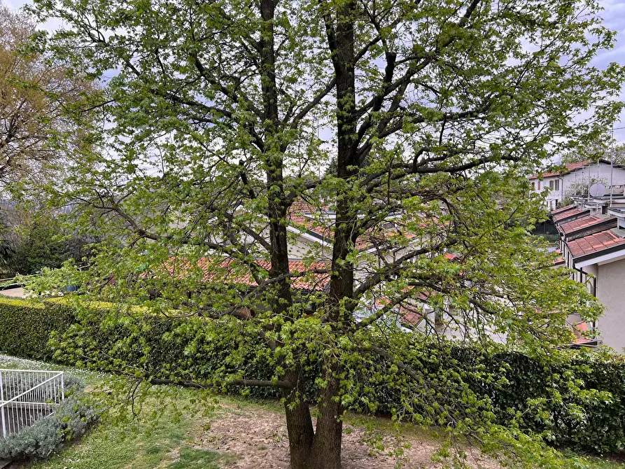 Immagine 10 di Appartamento in affitto  in Via Gianni Rodari a Varese