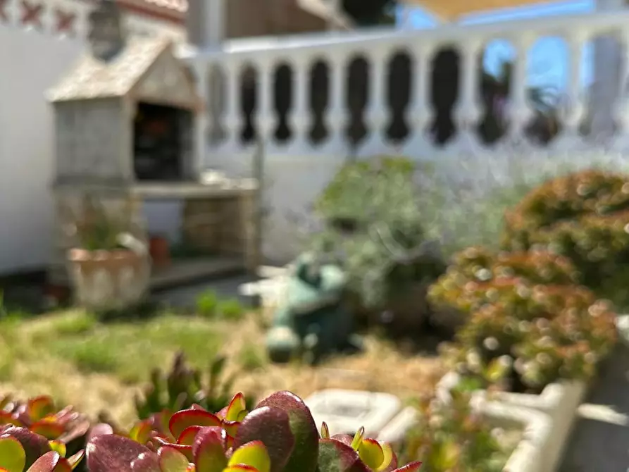 Immagine 9 di Casa indipendente in affitto  in Carrer Sant Rafel a Cambrils