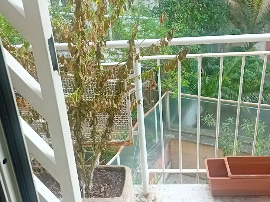 Immagine 1 di Camera in affitto  in Via Basilio Bricci a Roma