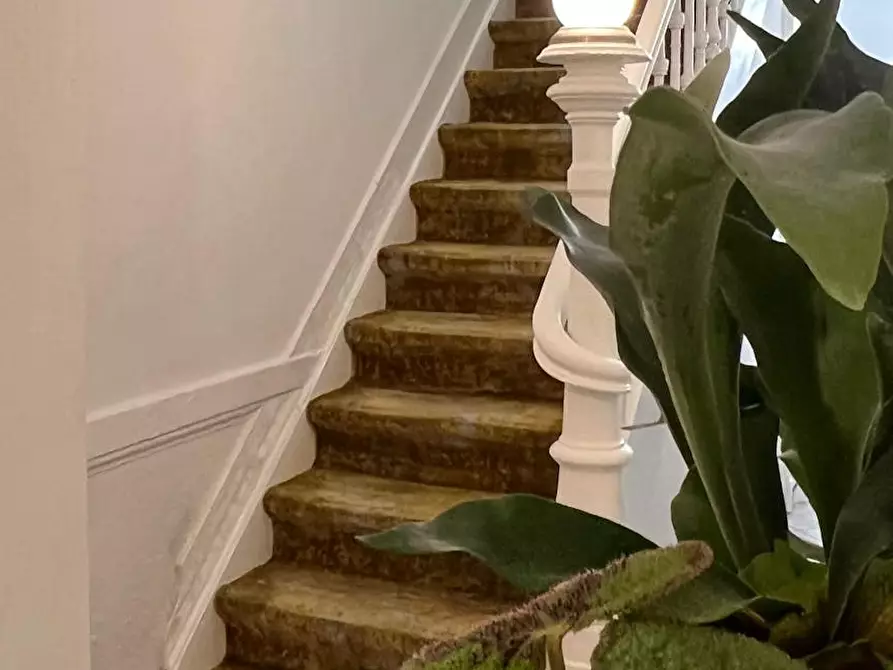 Immagine 3 di Appartamento in affitto  in Lange Herentalsestraat a Antwerpen