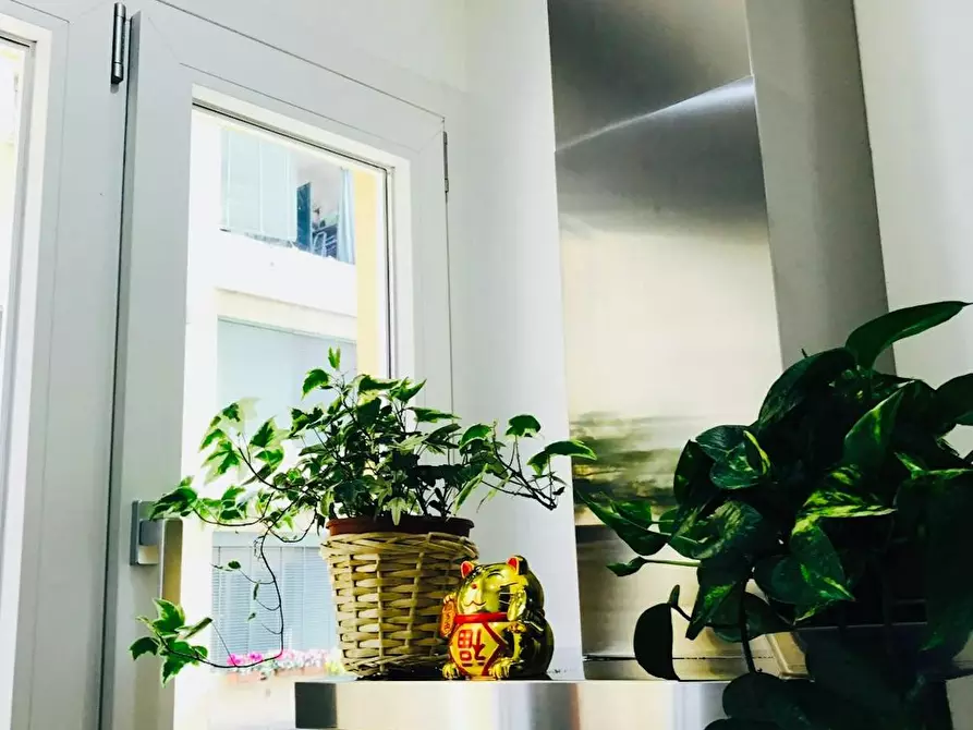 Immagine 3 di Camera in affitto  in Via Illirico a Milano