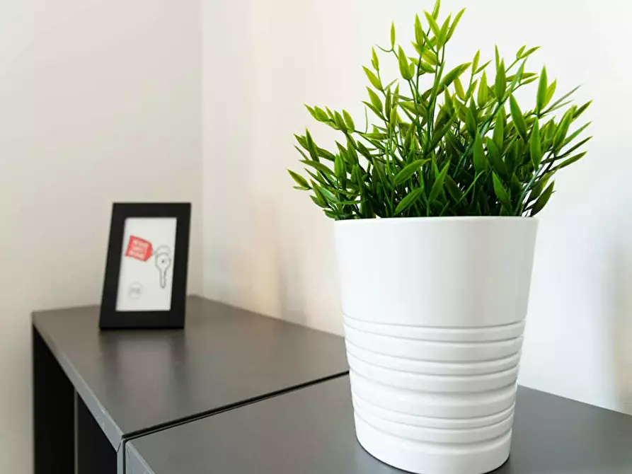 Immagine 6 di Camera in affitto  in Via Fratelli Fraschini a Milano