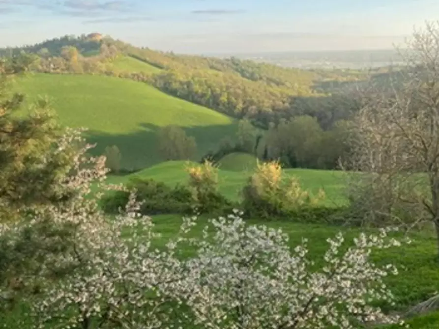 Immagine 5 di Camera in affitto  in Via Salvo d'Acquisto a Argelato
