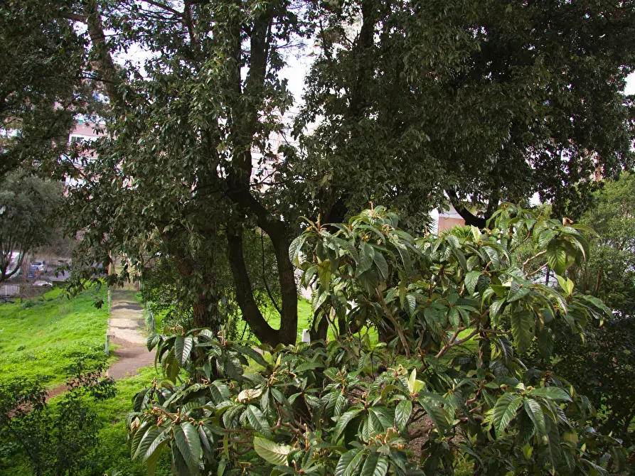 Immagine 9 di Camera in affitto  in Via Giuseppe de Robertis a Roma