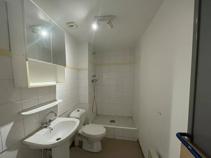 Immagine 6 di Appartamento in affitto  in Rue Principale a Schiltigheim