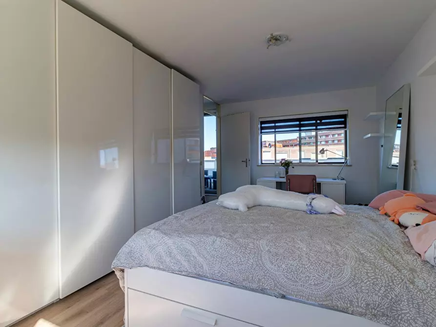 Immagine 8 di Casa indipendente in affitto  in Ecuplein a Amsterdam