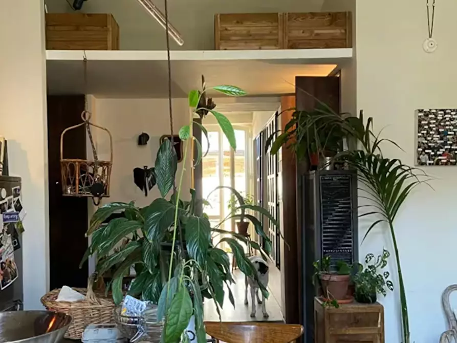 Immagine 1 di Appartamento in affitto  in Via Chiusella a Torino