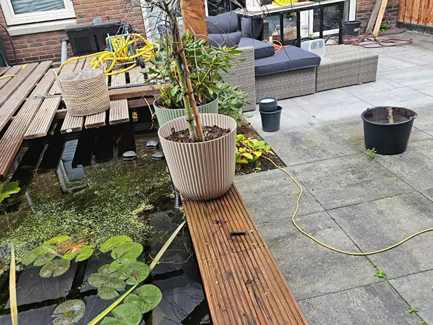 Immagine 5 di Camera in affitto  in Koning Willem-Alexanderlaan a Zevenhuizen