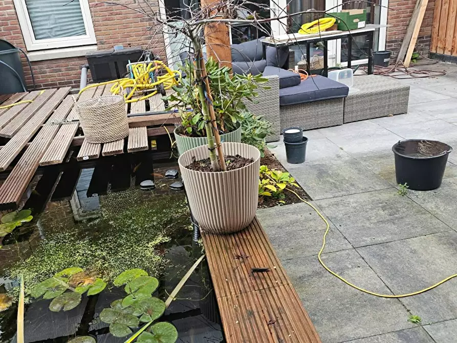 Immagine 6 di Camera in affitto  in Koning Willem-Alexanderlaan a Zevenhuizen