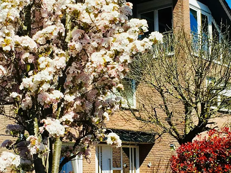 Immagine 7 di Appartamento in affitto  in Zur Worte a Raesfeld