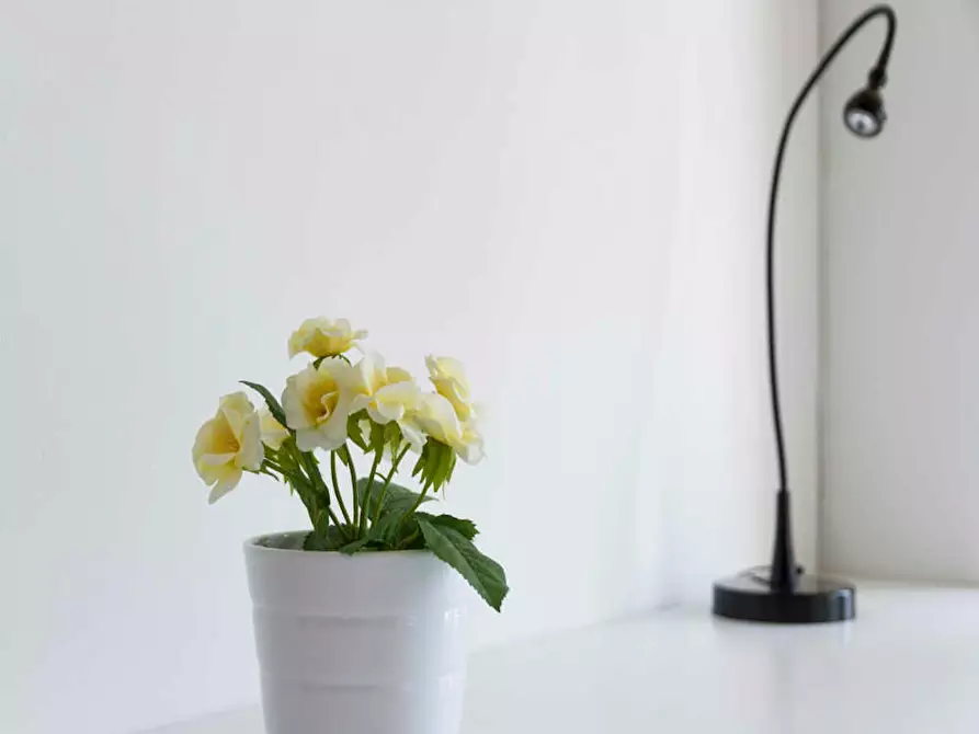 Immagine 8 di Camera in affitto  in Viale Coni Zugna a Milano