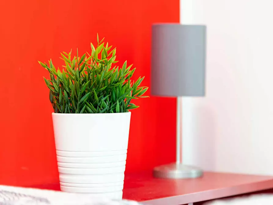 Immagine 6 di Camera in affitto  in Via Ferrante Aporti a Milano