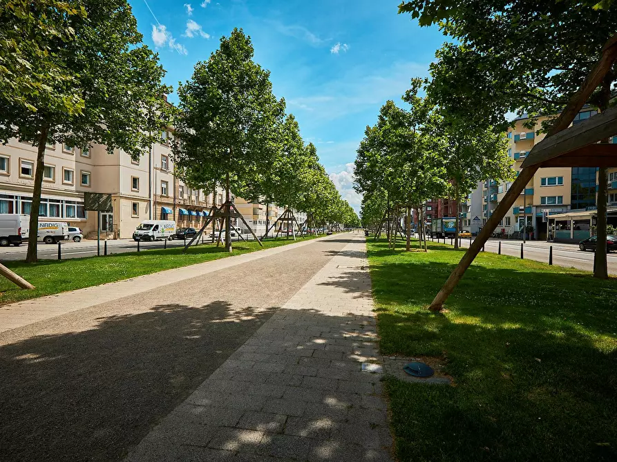 Immagine 10 di Appartamento in affitto  in Augustaanlage a Mannheim