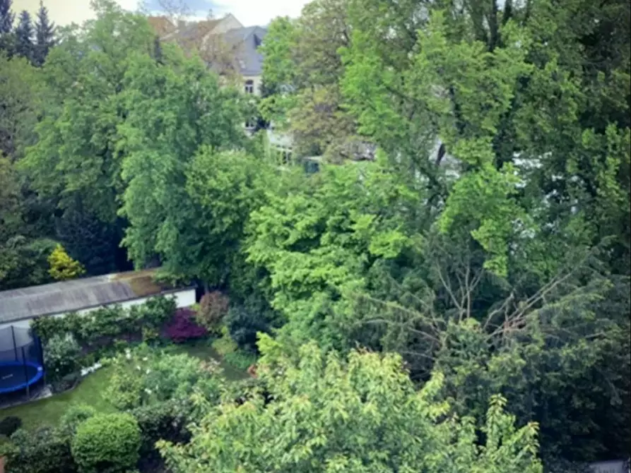 Immagine 8 di Camera in affitto  in Eschersheimer Landstraße a Frankfurt am Main
