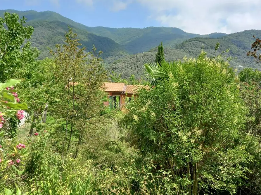 Immagine 2 di Casa indipendente in affitto  in Strada La Pineta a Ceriana