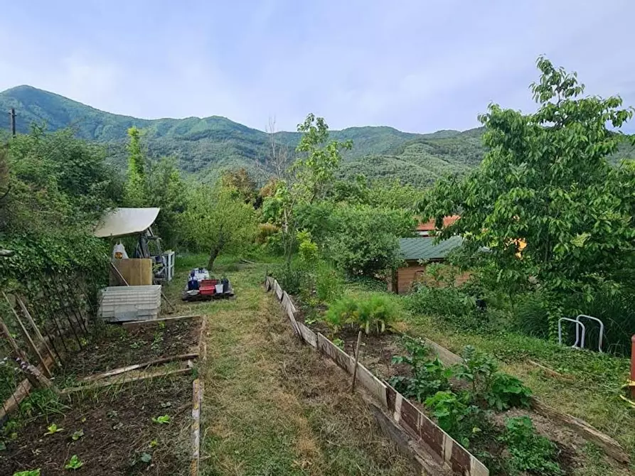 Immagine 3 di Casa indipendente in affitto  in Strada La Pineta a Ceriana