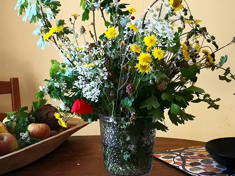 Immagine 5 di Camera in affitto  in Via Giuseppe la Farina a Firenze