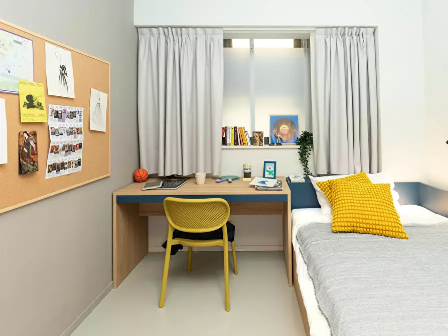 Immagine 2 di Camera in affitto  in Via Giuseppe Tartini a Firenze